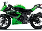 Kawasaki Ninja 250RR Mono / SL 250 Ninja